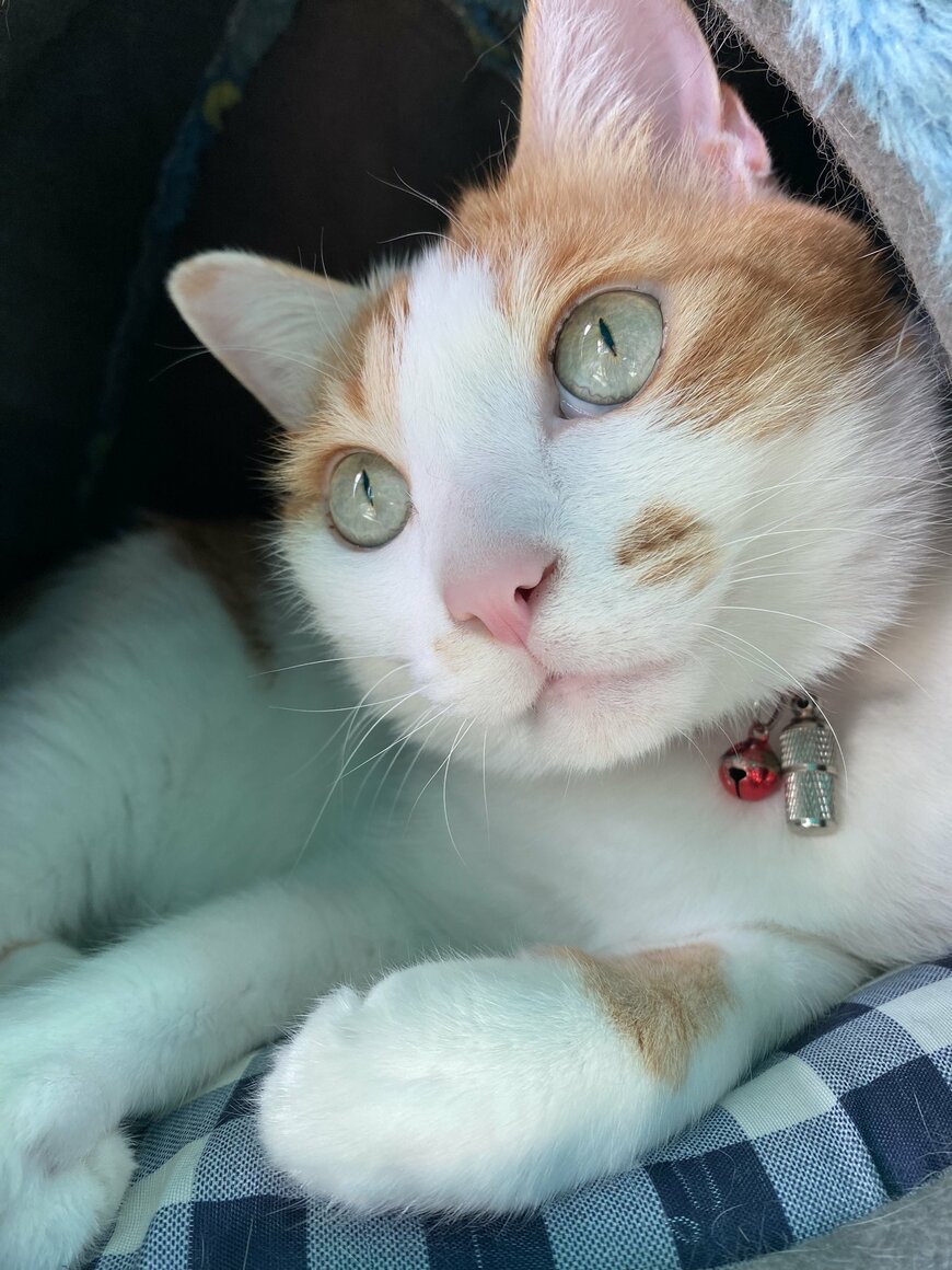 出所：@luna7taka9