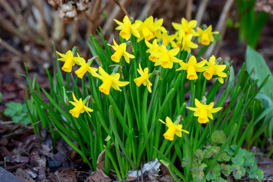 BarthFotografie/shutterstock.com