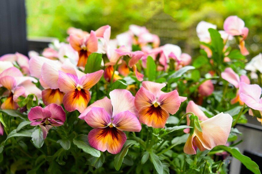 syan/istockphoto.com