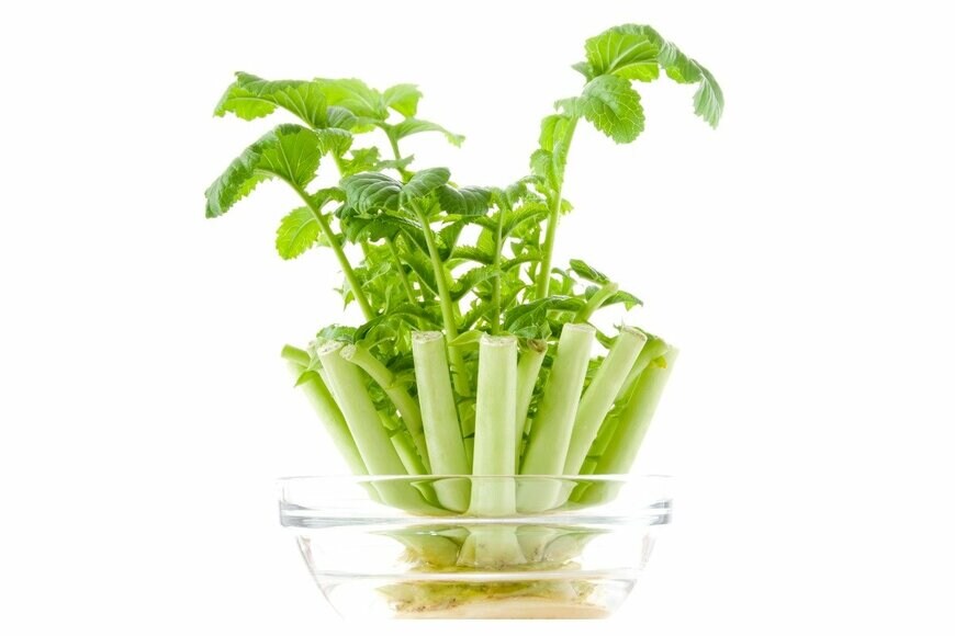 karimitsu/shutterstock.com