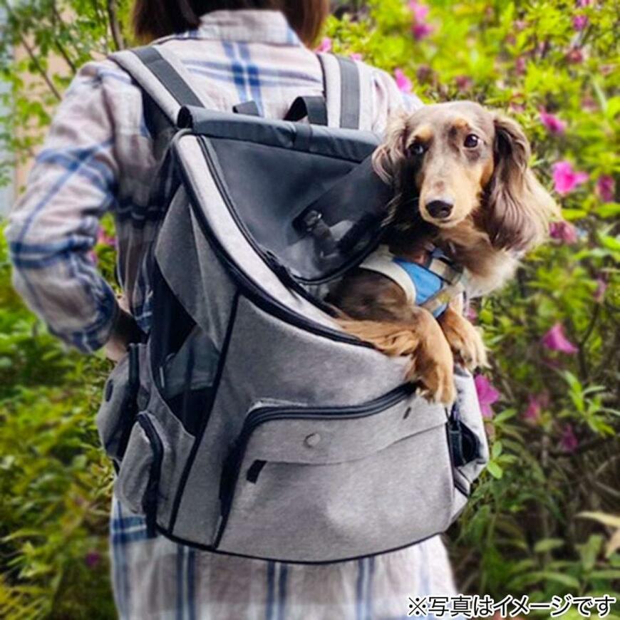 出所：ニトリ公式サイト