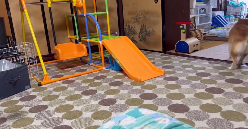 出所：@Shibamugi28