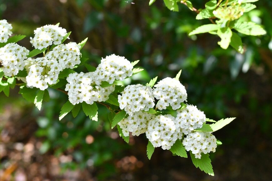 SRT101/istockphoto.com