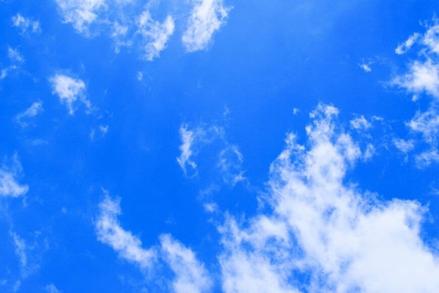 【京都府】青空に映える真っ白な清水寺に目を奪われる！「まさしく日本の美」「白い桜のよう」と大反響