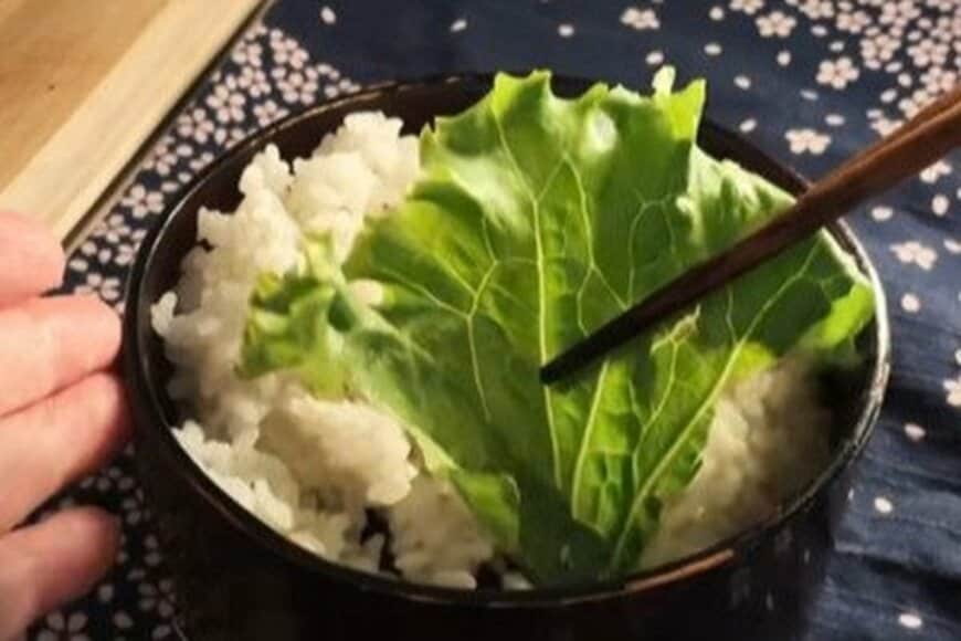 50代の母が朝から作る「チーズカツ弁当」　時短アイデアが光る「愛情弁当」がおいしそう…