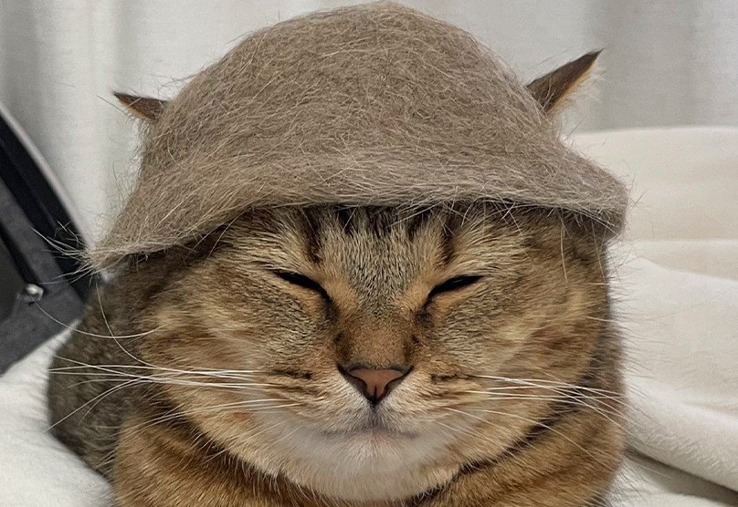 出所：@MiniraDiary