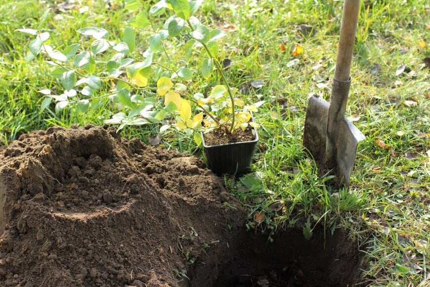 azem/shutterstock.com