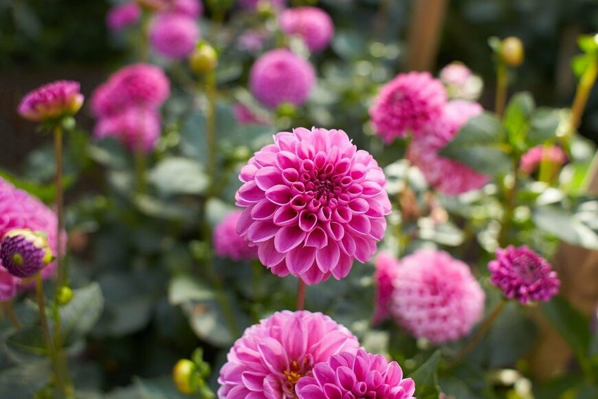 ataliaBulatova/istockphoto.com