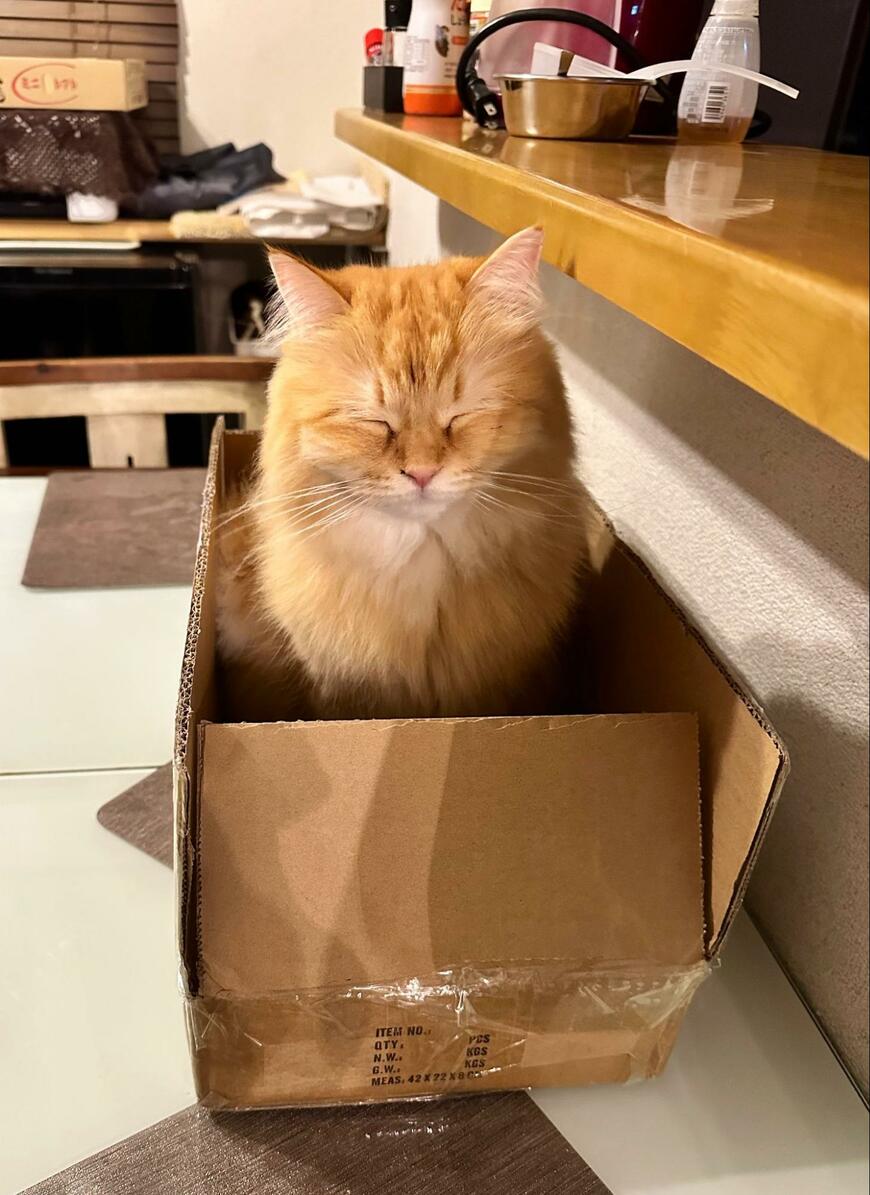 出所：@NEKOLAND13