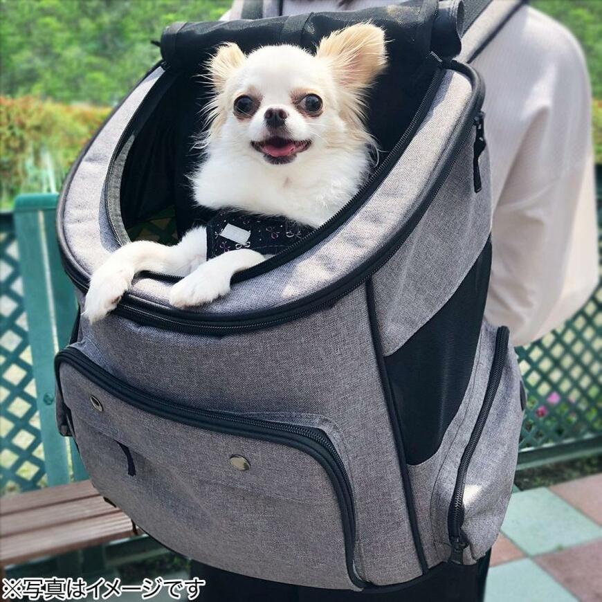リュックペットキャリー