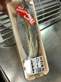 大学生が見事な包丁さばきで作る「アジ定食」が最高　「定食屋さんみたい」「見習いたい」