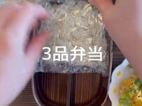 【3品だけかと思いきや】もりもり入った”麻婆ナス入りおかずたっぷり弁当”に「美味しそう」「素晴らしいお弁当」の声