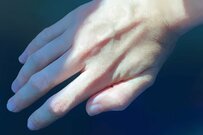 「2ヶ月描き込んだ手」が写真にしか見えないと話題　「絵を描くのに使った手の写真かと」