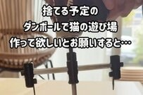 【猫の遊び場DIY】捨てる予定の〈ダンボール〉→〈飼い猫の可愛すぎる遊び場〉に「スポッと入るところがかわいすぎる」と話題
