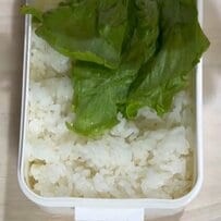 自称「不器用なOL」が作る【肉巻ききのこ弁当】追いタレがたまらない肉巻ききのこに卵焼き！彩りの良い野菜も詰めたお弁当は彩り抜群で美味しそう！