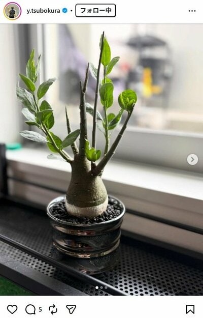 坪倉由幸のInstagram投稿