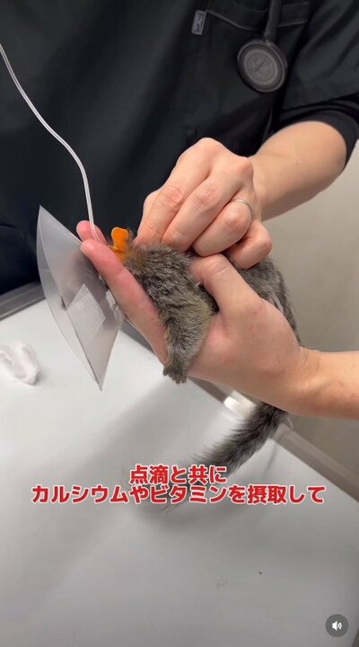 栄養を点滴