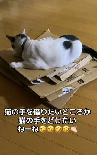 投稿動画のワンシーン