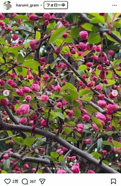 栗原はるみのInstagram投稿