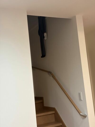 ちらりと見える黒い物体