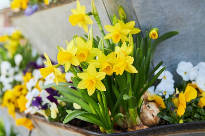 Liudmyla Liudmyla/istockphoto.com