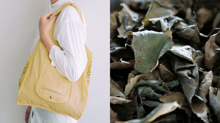 葉染め:穏やかな黄色