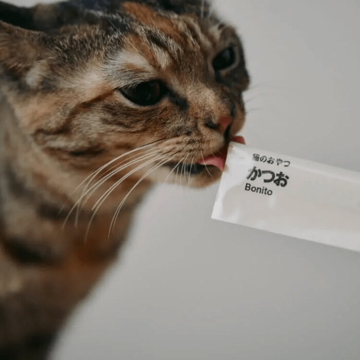 無印良品　素材を活かした猫のおやつ