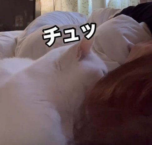 出所：@mayumi196300