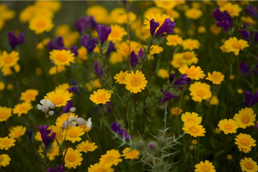 Tamara Kulikova/Shutterstock.com