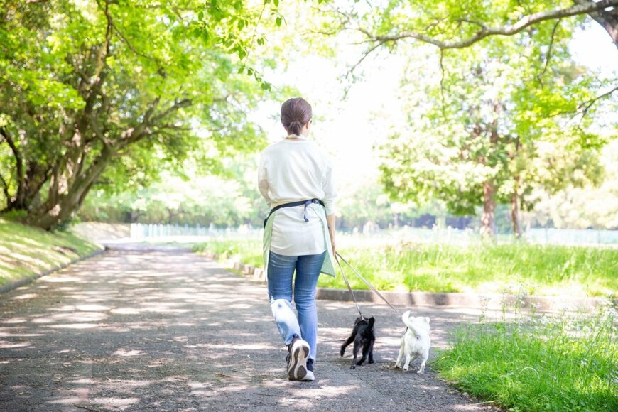 kazoka/shutterstock.com