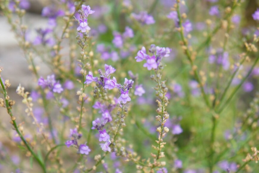 mizy/shutterstock.com