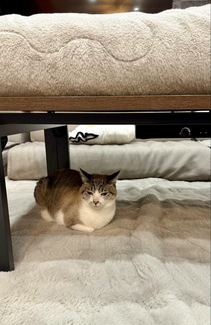 出所：@omochi_nam01