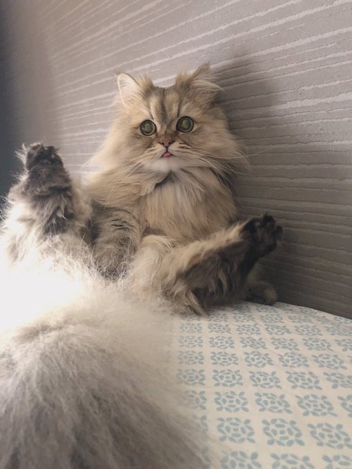 出所：@UphQepCv8J