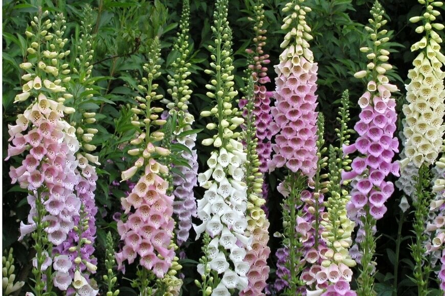 blue_rain/istockphoto.com