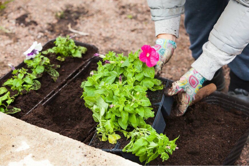 Evannovostro/Shutterstock.com