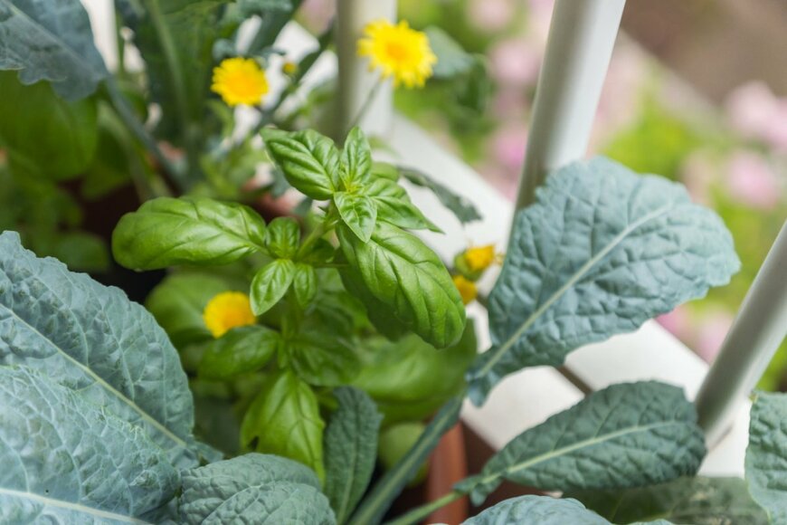 MarinaGreen/shutterstock.com