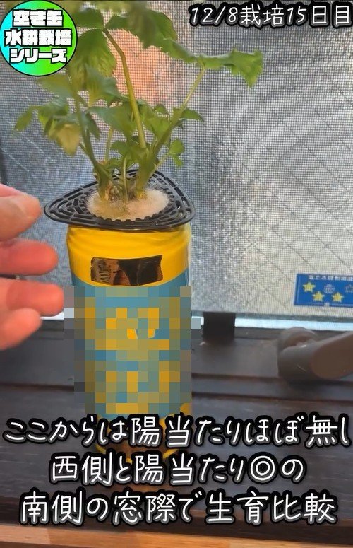 出所：@mikanbo_ya19_87