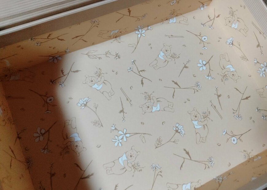 筆者撮影（ダイソー、紙製ボックス、ブック型（くまのプーさん））