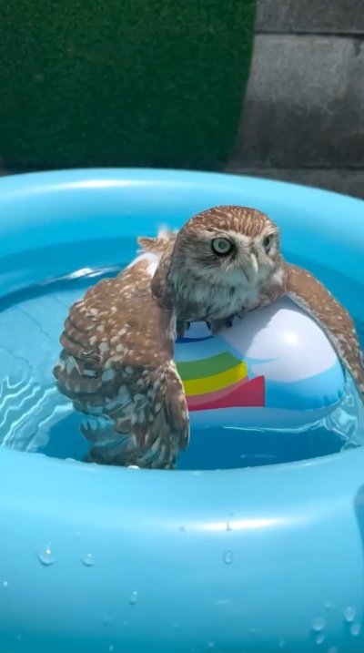 出所：@cr8673.hiro