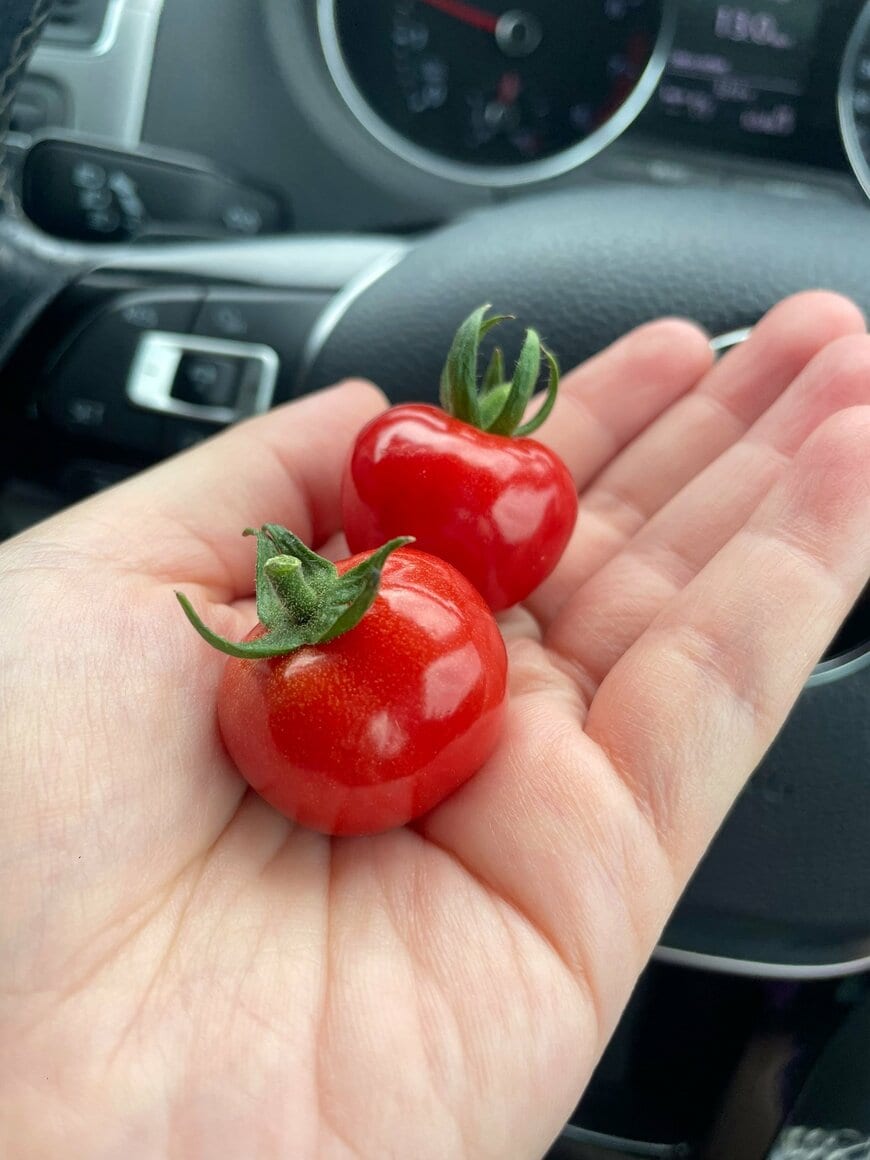 出所：@motokanoirane