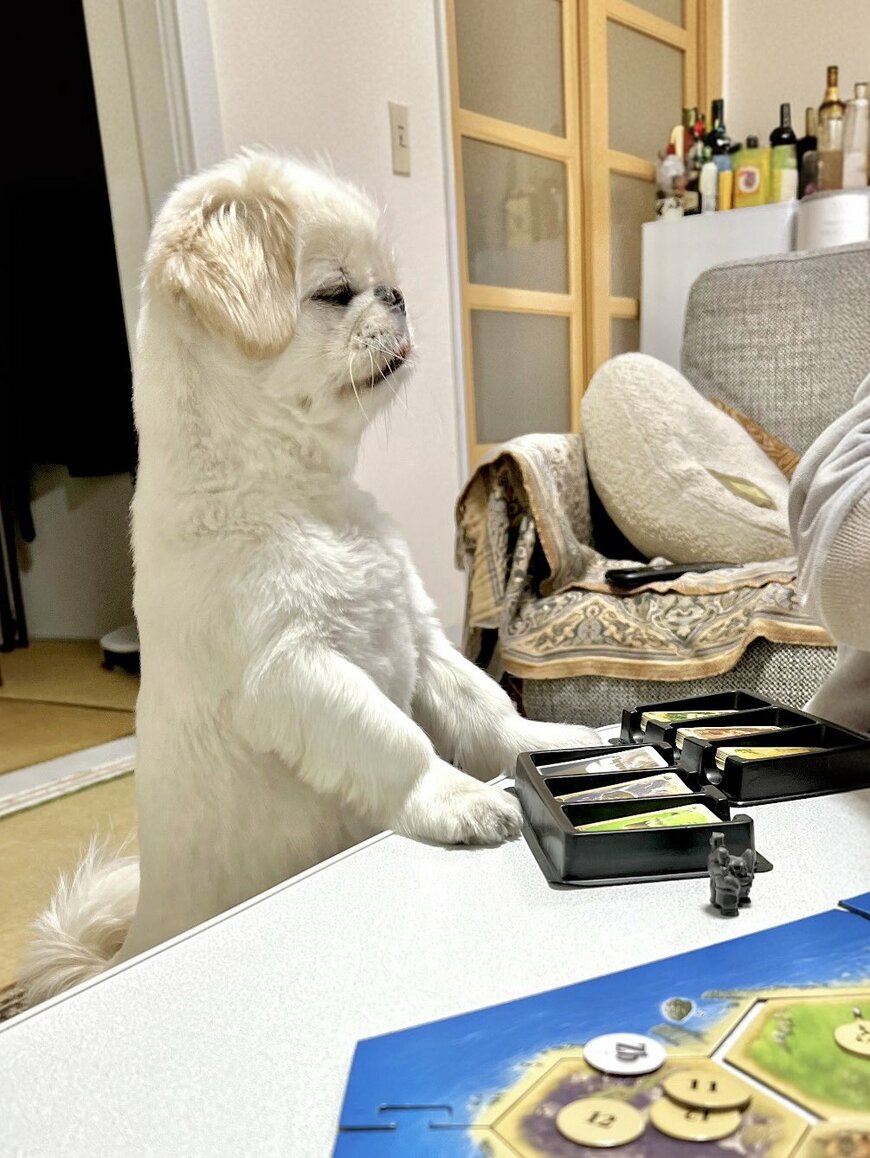 出所：@The_Mucho_World