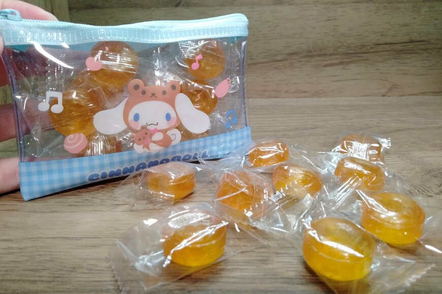 筆者撮影（セリア、ラメポーチ（S）C/N）