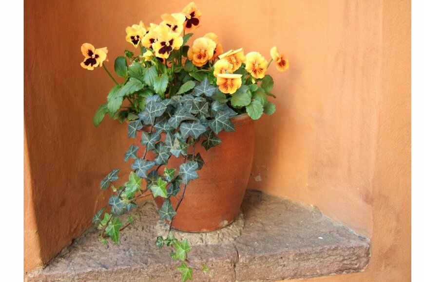 LGronwall/istockphoto.com