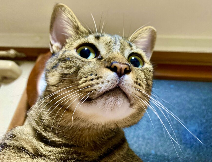 出所：@luna7taka9