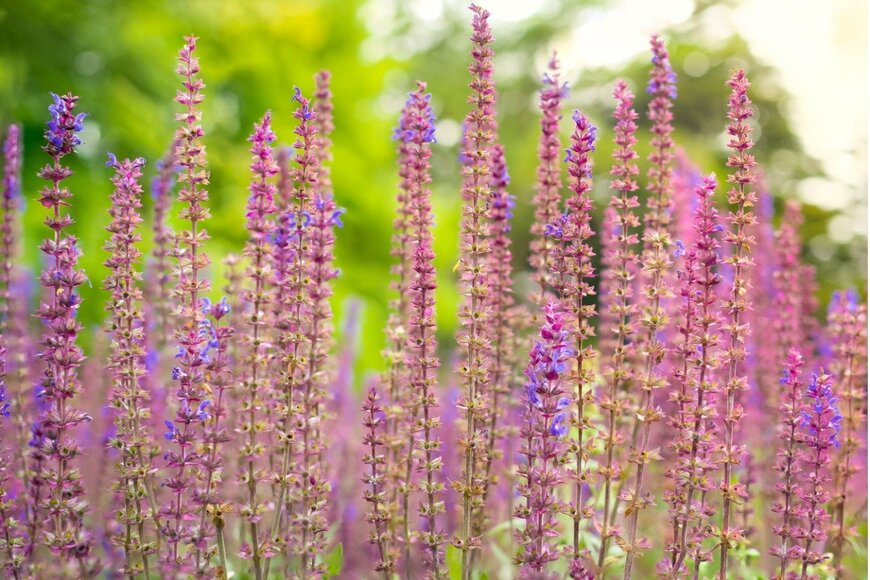 Wirestock/istockphoto.com