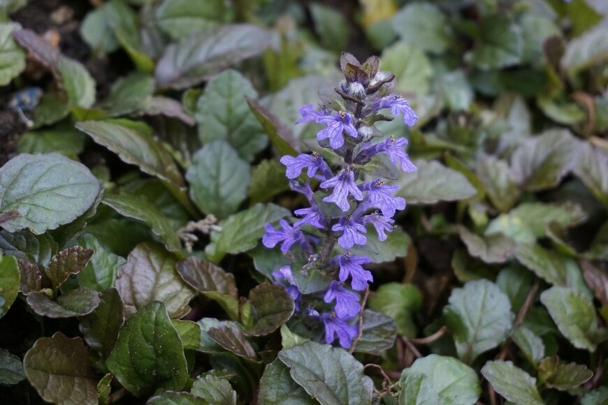 Albin Raj/istockphoto.com