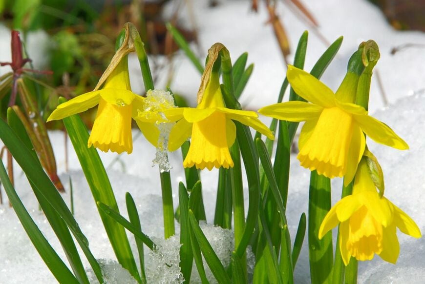 LianeM/shutterstock.com