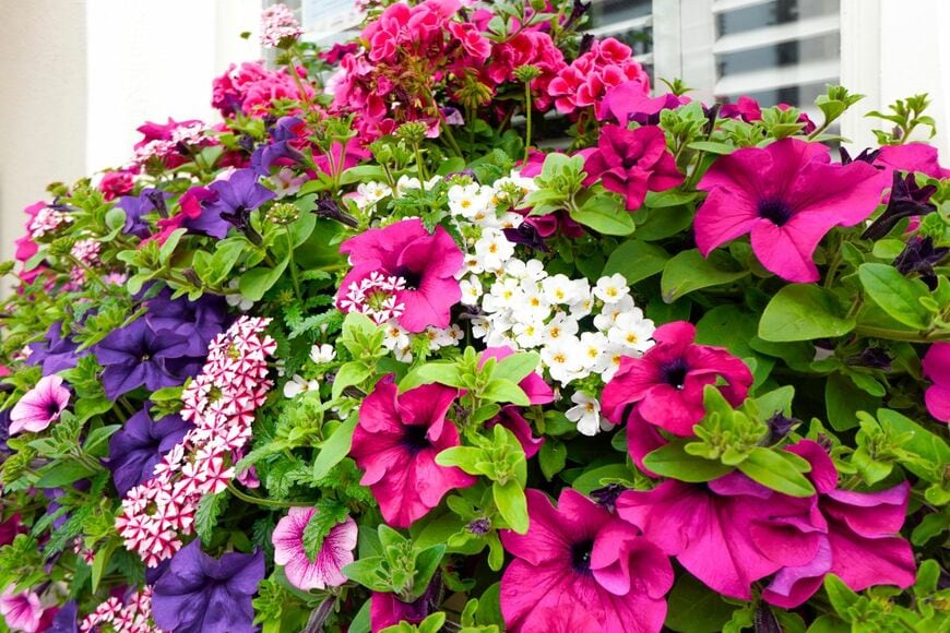Gordine N/shutterstock.com