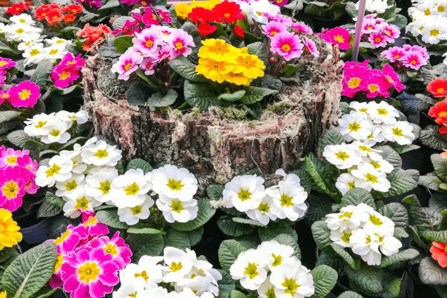 derketta/istockphoto.com