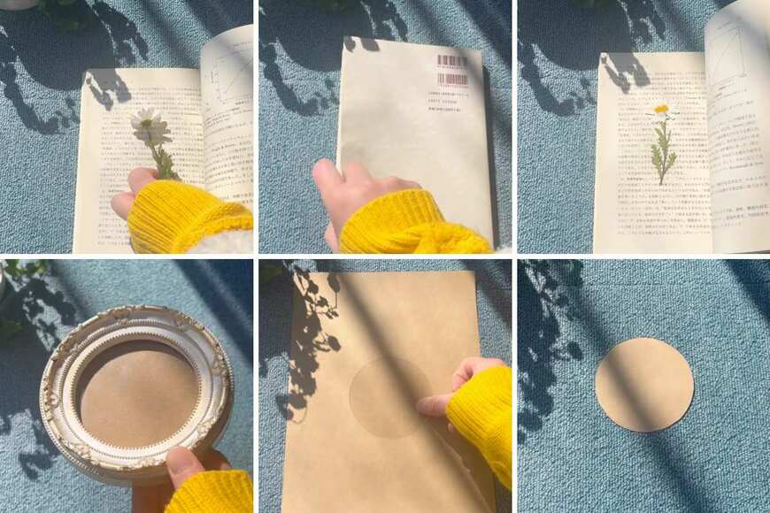 出所：@yuri_kurashilog